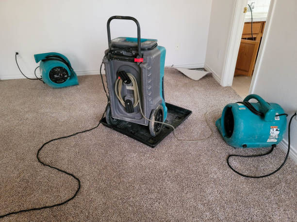 Best Water damage restoration specialists  in Barrington, NJ