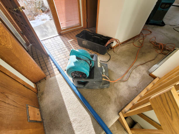 Reliable Barrington, NJ Water damage restoration Solutions