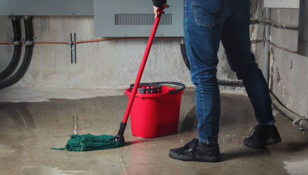 Best Water damage restoration near me  in Barrington, NJ