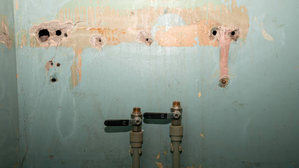 Best Sewage cleanup and water damage restoration  in Barrington, NJ