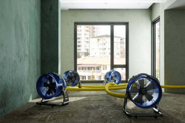 Best Water damage restoration experts  in Barrington, NJ
